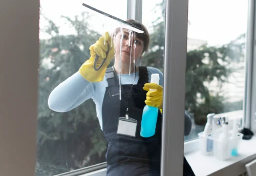 Nettoyage de vitres intérieures et extérieures à Cuinzier